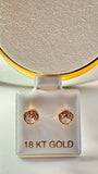 Gold-rimmed earrings 18k