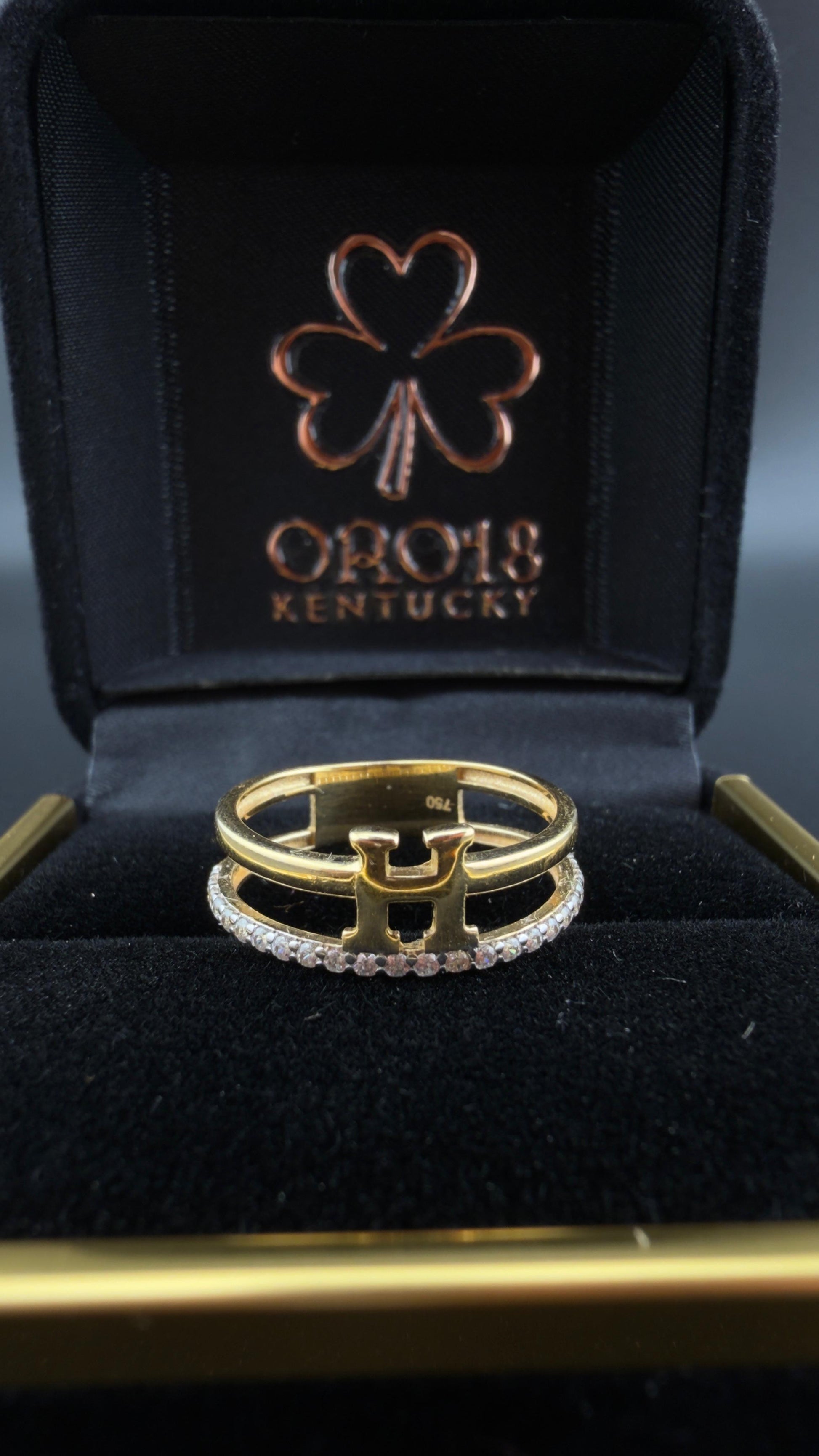 Double- H Ring 18k, 6,7,8.