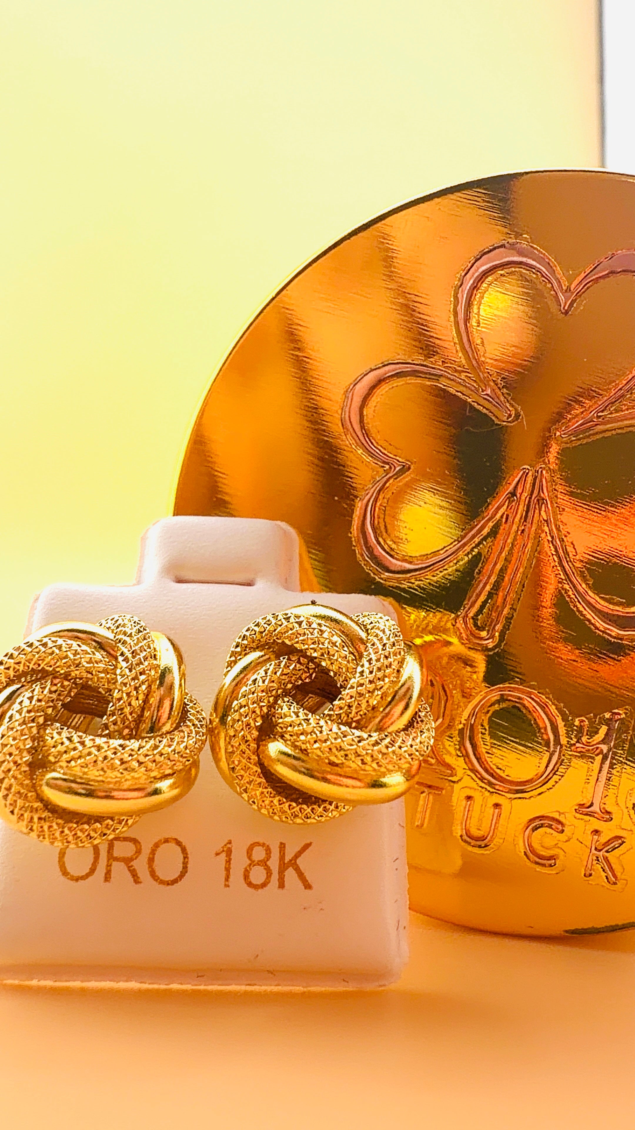 Earrings Hoops (Aros,Zarcillos)